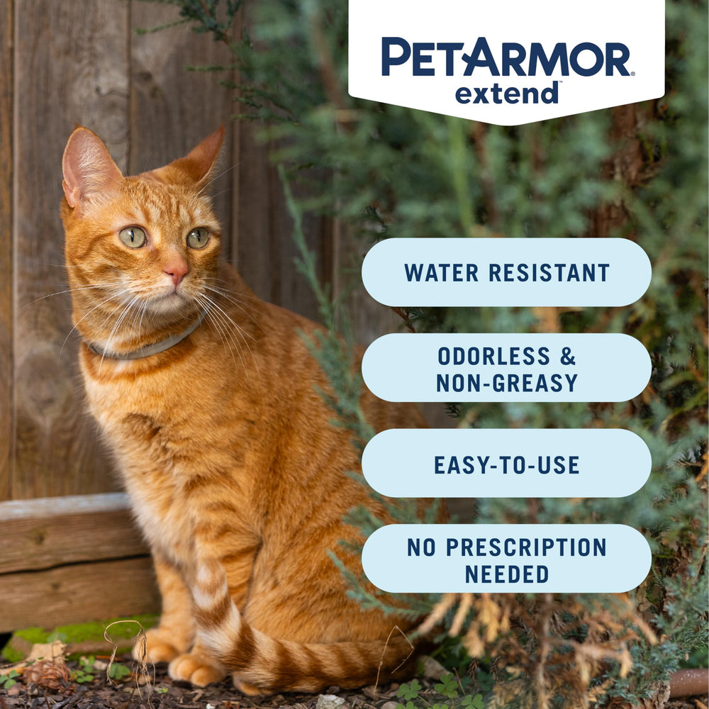 Protection contre puces et tiques avec le collier PetArmor Extend