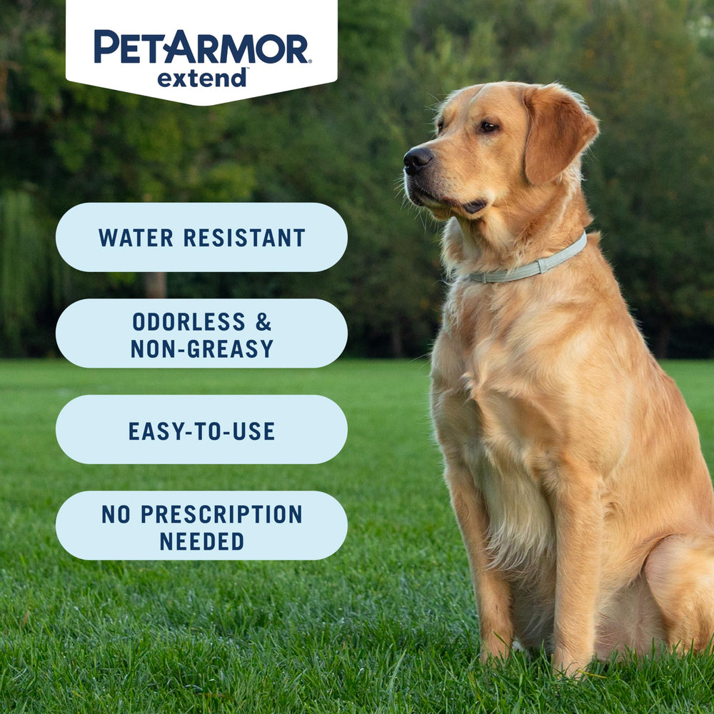 8 mois de protection continue contre puces et tiques avec PetArmor Extend.
