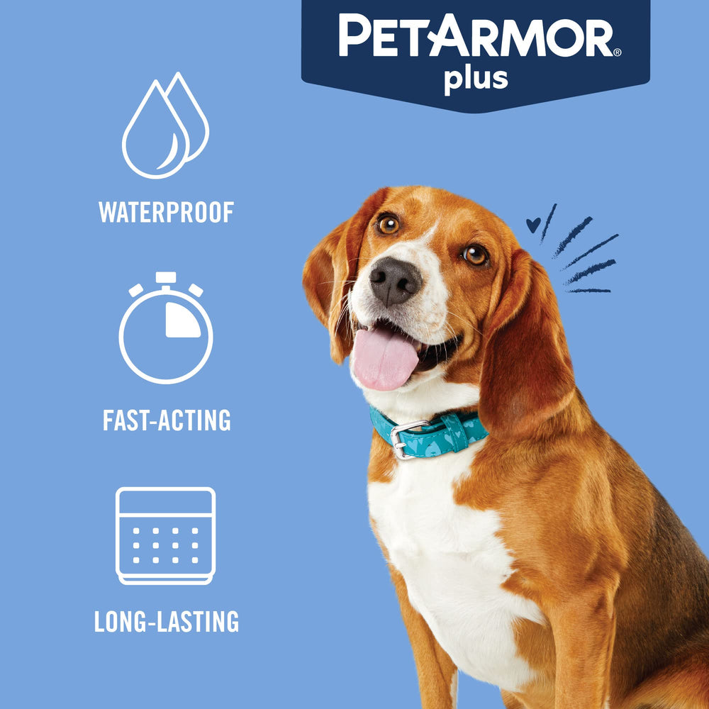 PetArmor Plus utilisation simple pour chiens