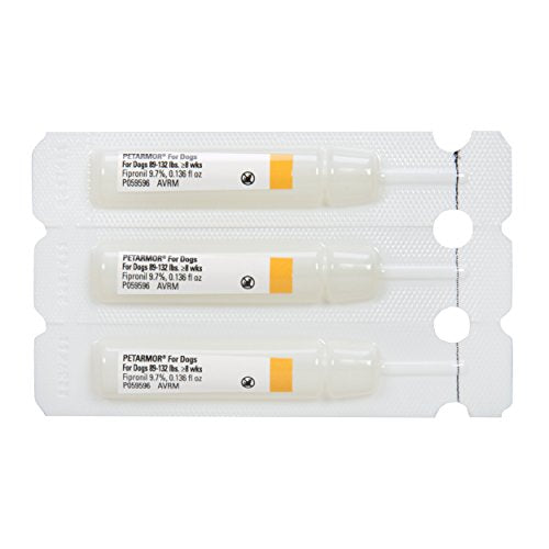 Utilisation simple et rapide de PETARMOR sur chien extralarge lors de sorties.