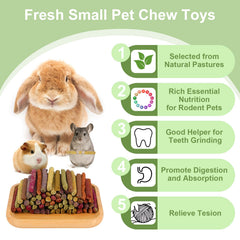 Bâtonnet Petawi pour chinchilla: enrichissement alimentaire et activité physique