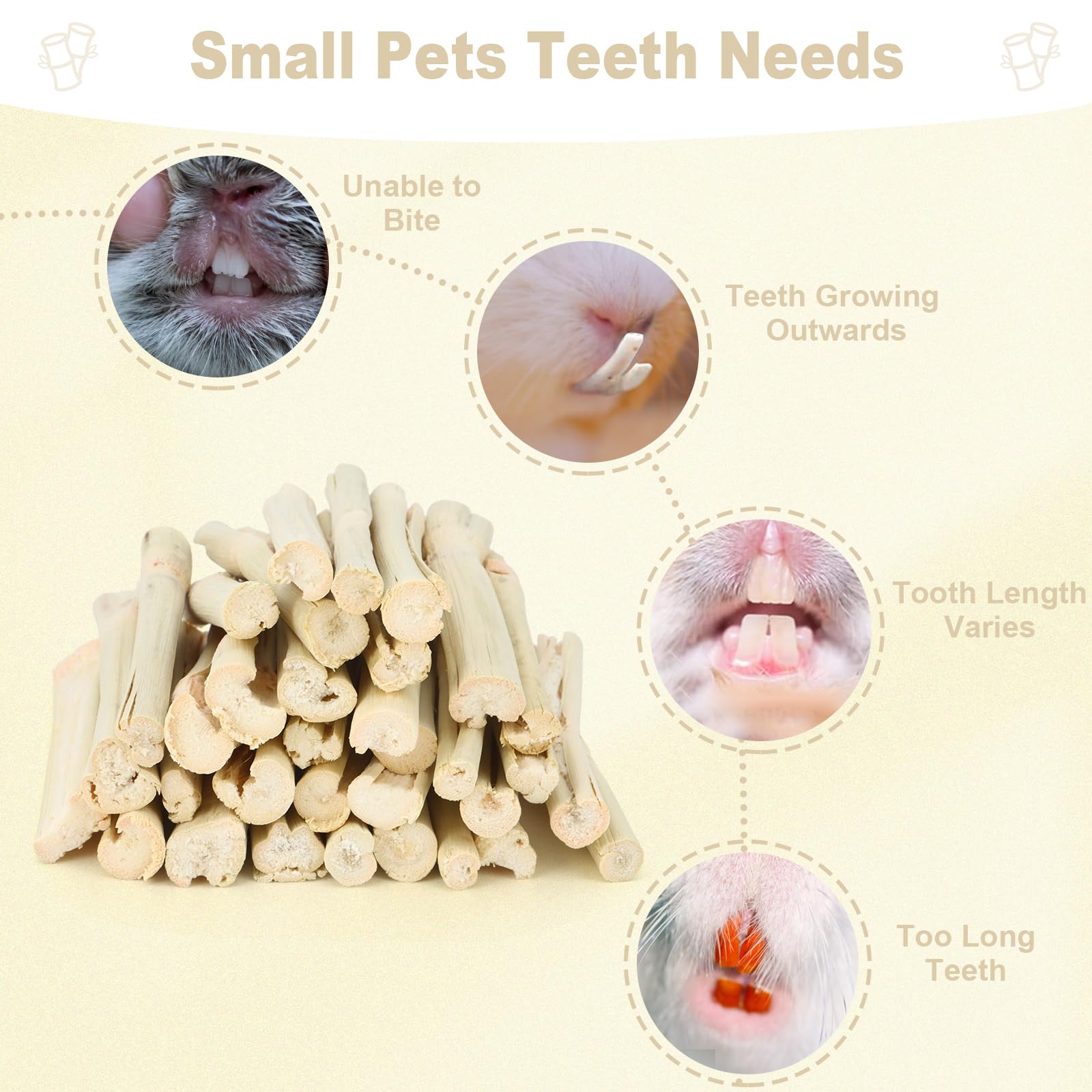 Petawi batons-bambou-frais-naturels: sieges frais favorisant la mastication et la digestion