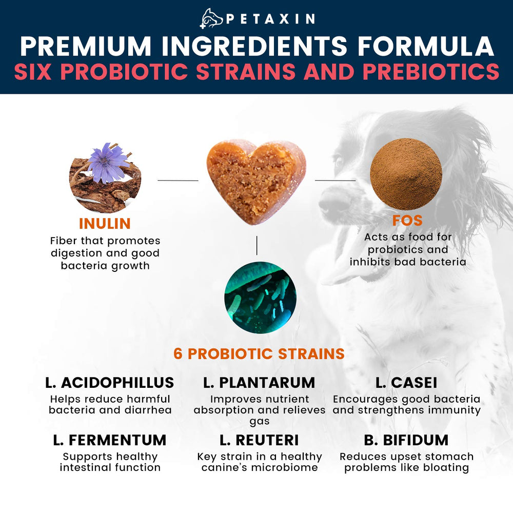 Petaxin Probiotiques chien – aide potentielle à la digestion et au confort digestif