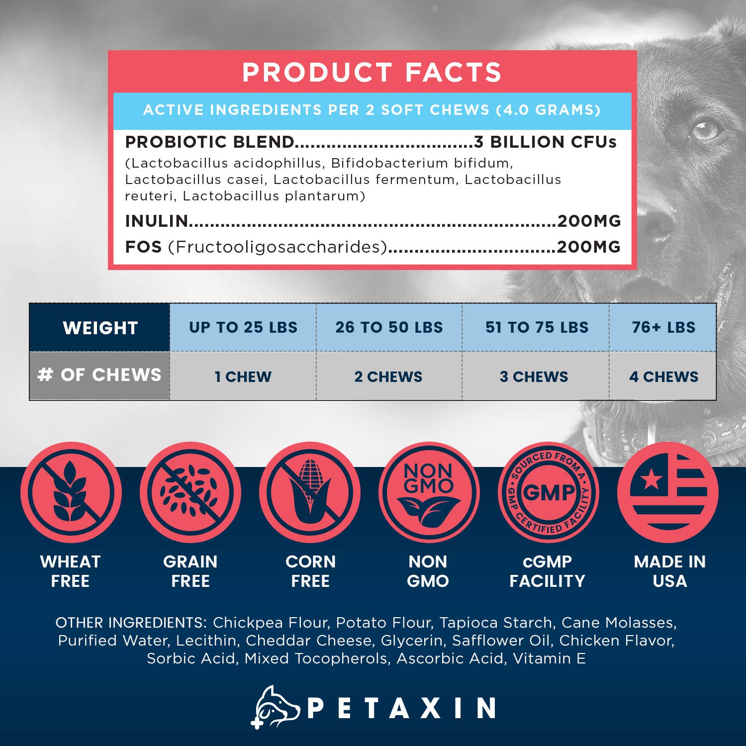 Petaxin Probiotiques chien – soutien potentiel du système immunitaire