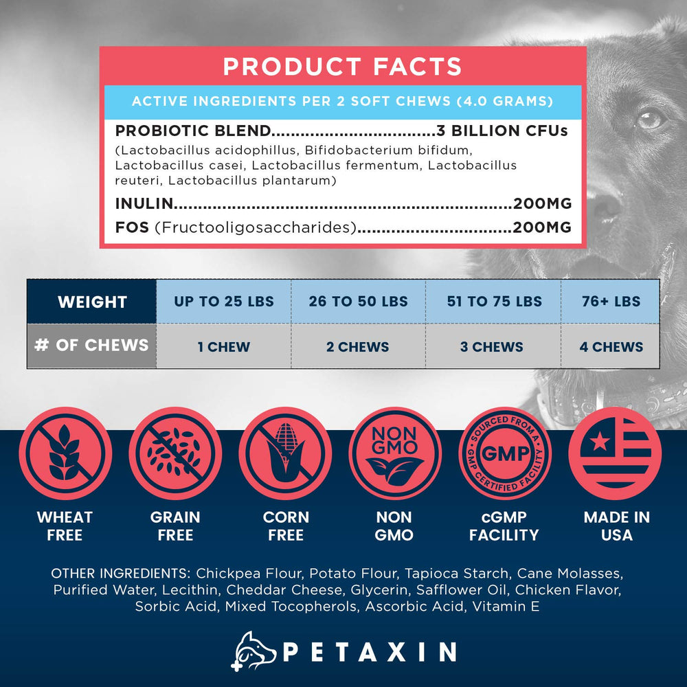 Petaxin Probiotiques chien – soutien potentiel du système immunitaire