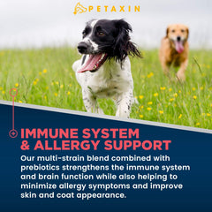 Petaxin Probiotiques chien – texture molle pour une ingestion aisée