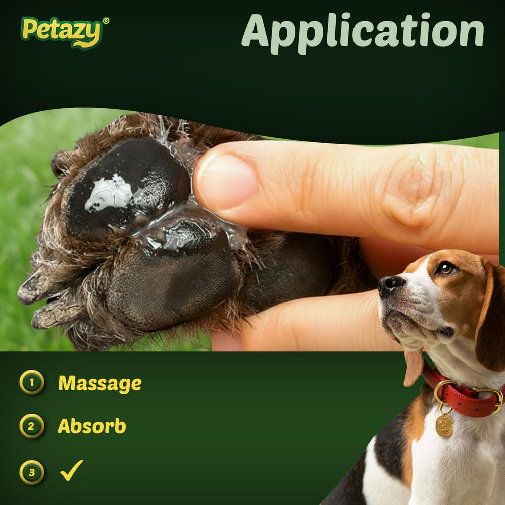 Utilisation quotidienne Petazy Itch Away pour chiens actifs.