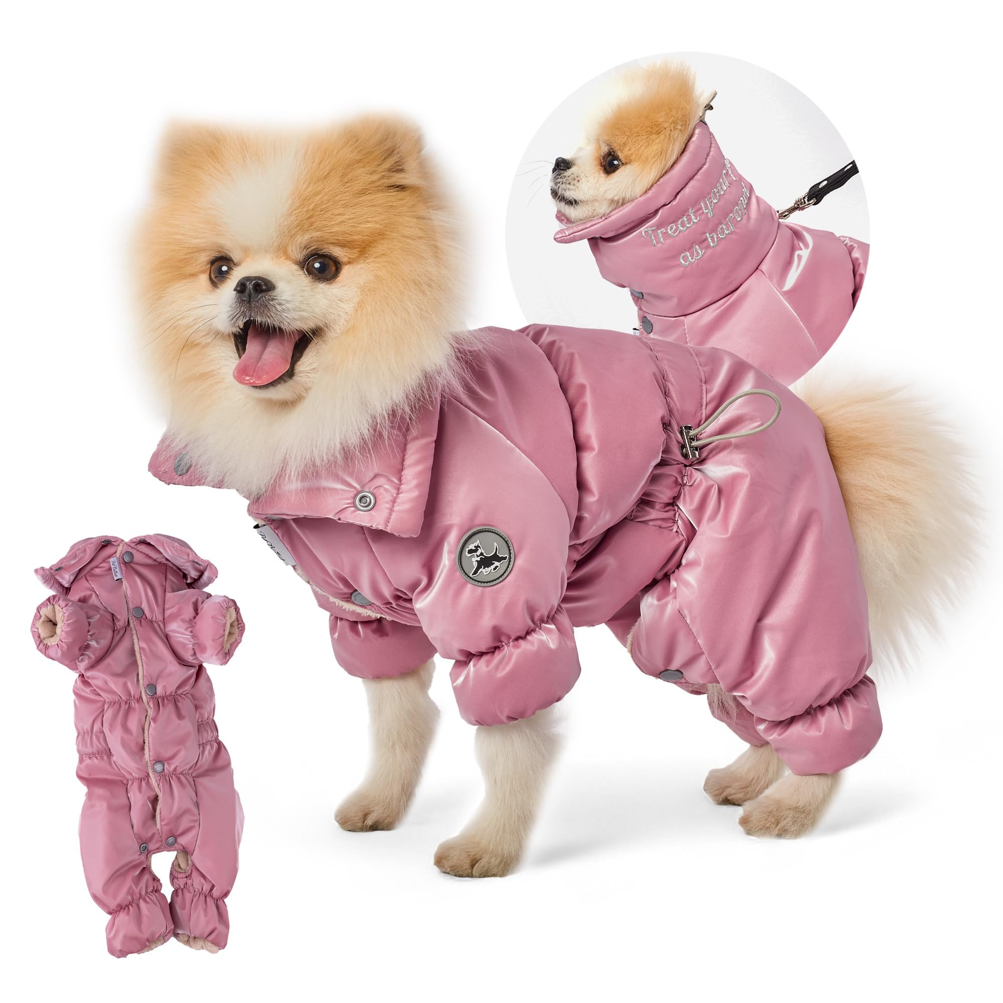 Le manteau PetBaronet offre une couverture complète du corps pour chien femelle.