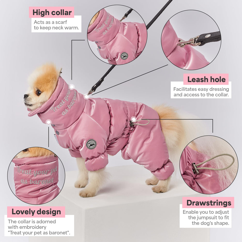 Manteau PETBARONET pour chienne, vue dorsale, protection et style hivernal.