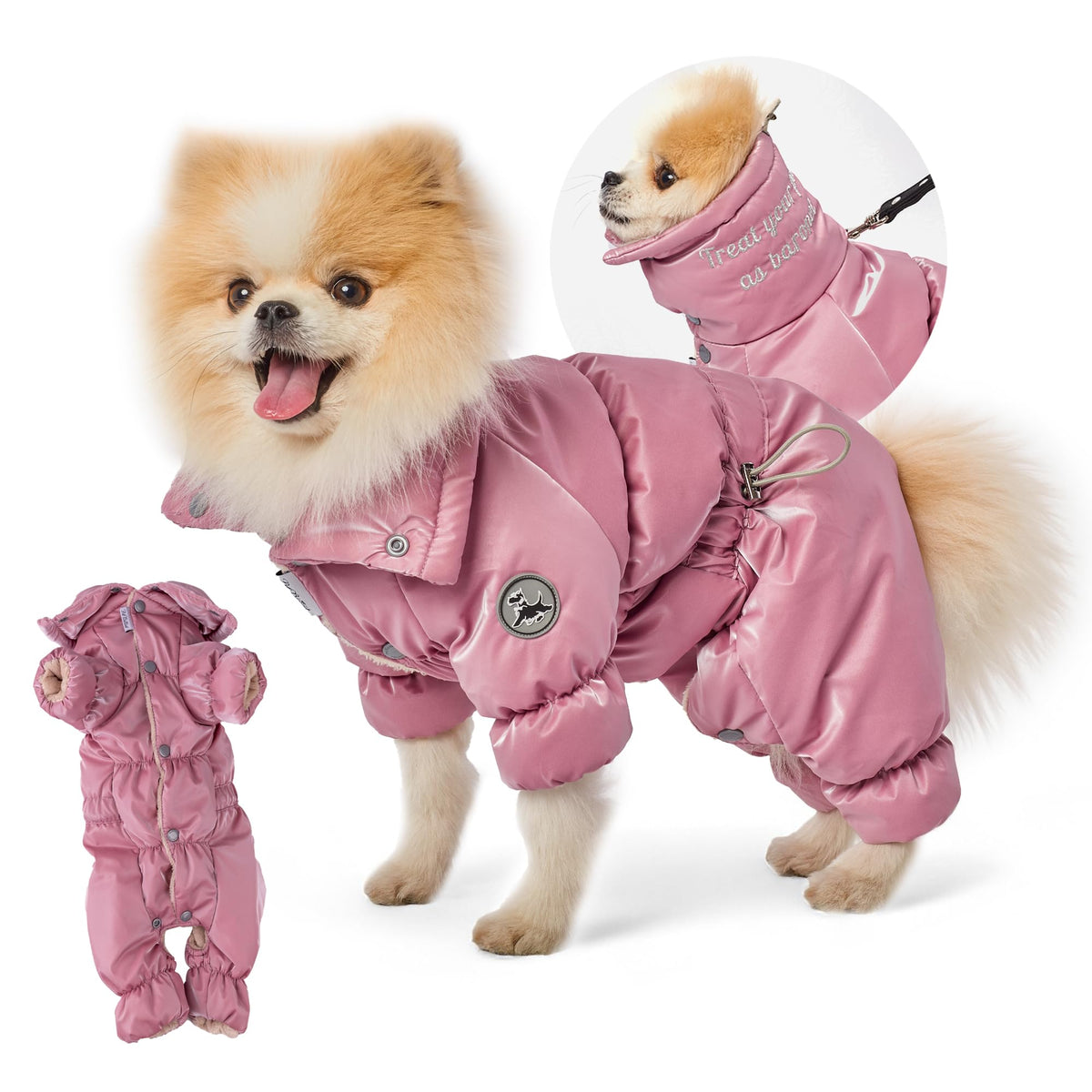 Manteau PETBARONET pour chienne, vue face, démontrant la couverture ventrale et la chaleur potentielle.