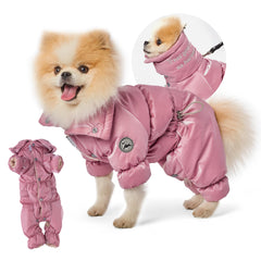 Manteau PETBARONET pour chienne, vue face, démontrant la couverture ventrale et la chaleur potentielle.