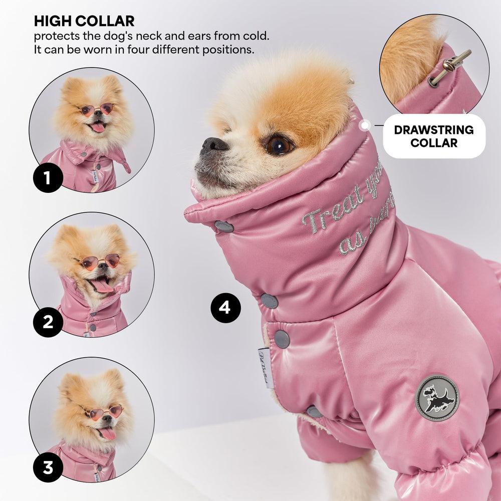 Manteau PETBARONET pour chienne, manches élastiques et ajustement sûr.