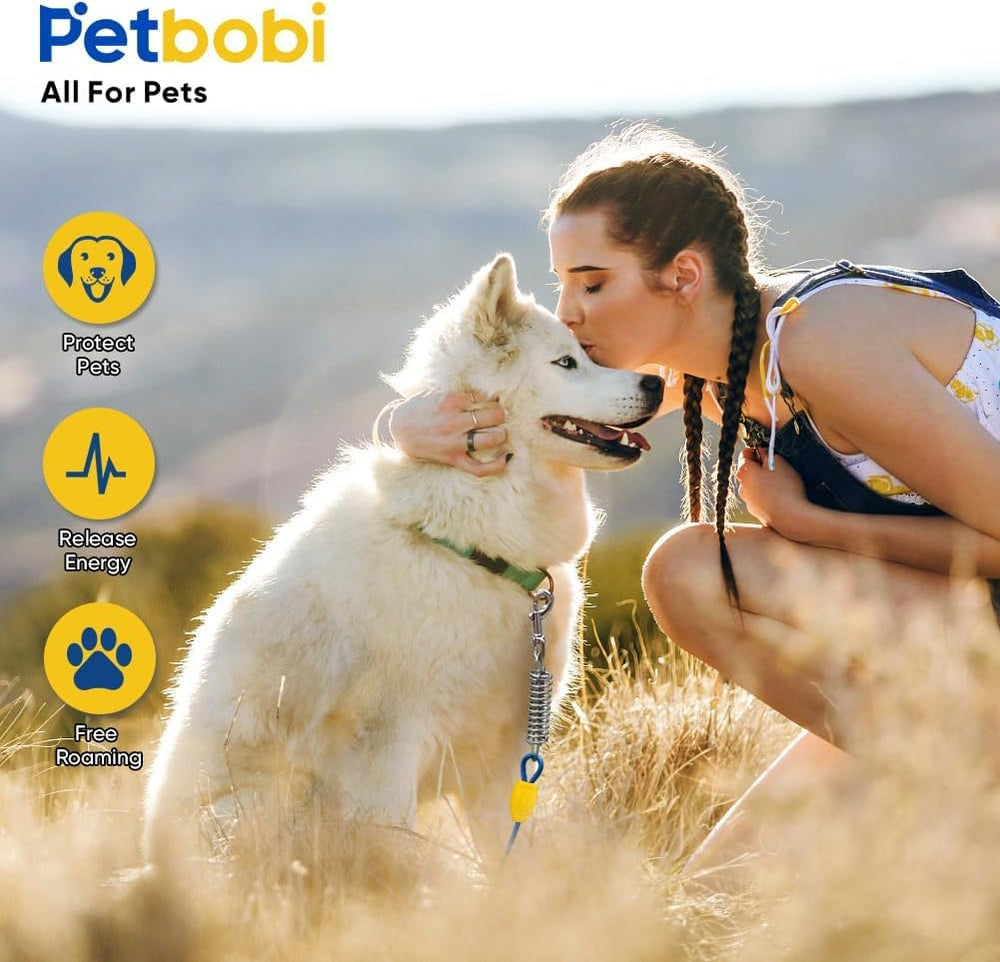 Petbobi chien en liberté en plein air en sécurité.