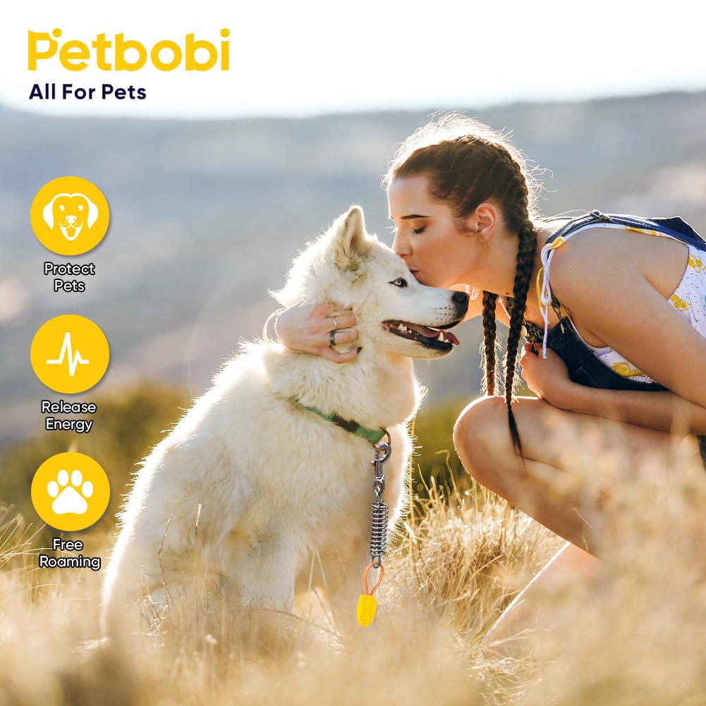 Ensemble d’accessoires Petbobi inclus, prêt pour promenade et aventure en extérieur.