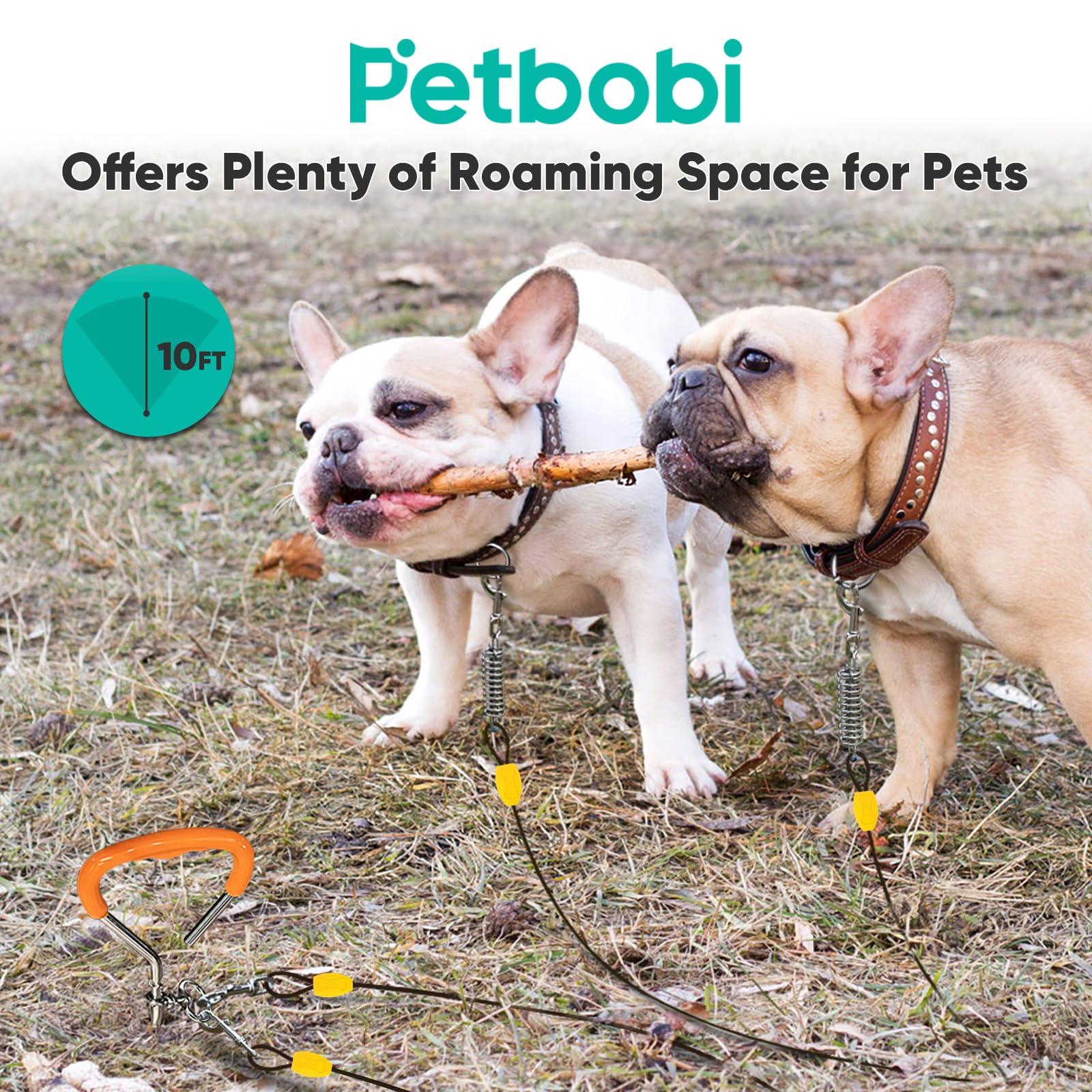 Petbobi ressort 5 pouces, absorption des tirages pour plus de confort