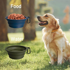 PetBonus bol pliable compatible lave-vaisselle, nettoyage rapide.
