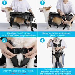 PetBonus ceintures de sécurité: fixation fiable pour la sécurité du chien