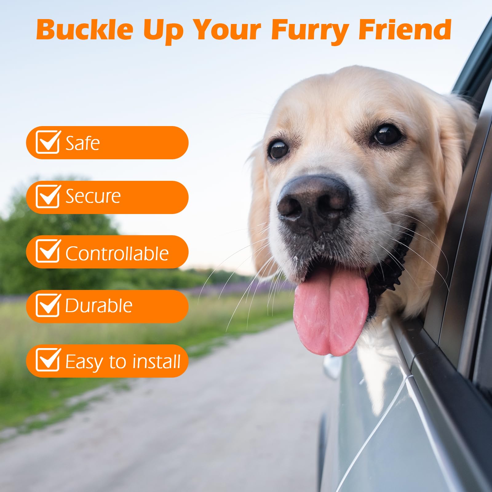 PetBonus chien dans véhicule arrière utilisation pratique et sécurisée