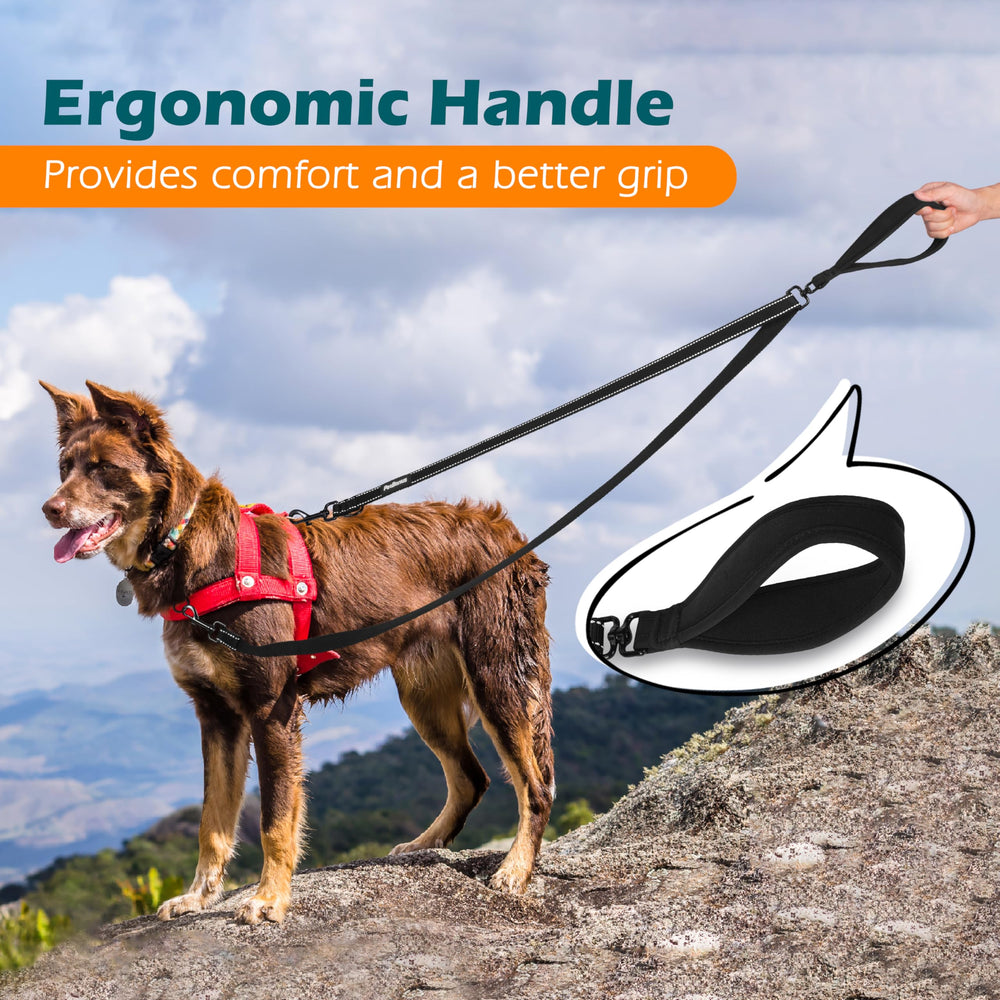 Longe simple convertible 4 pieds PetBonus, flexibilité pour l’entraînement.