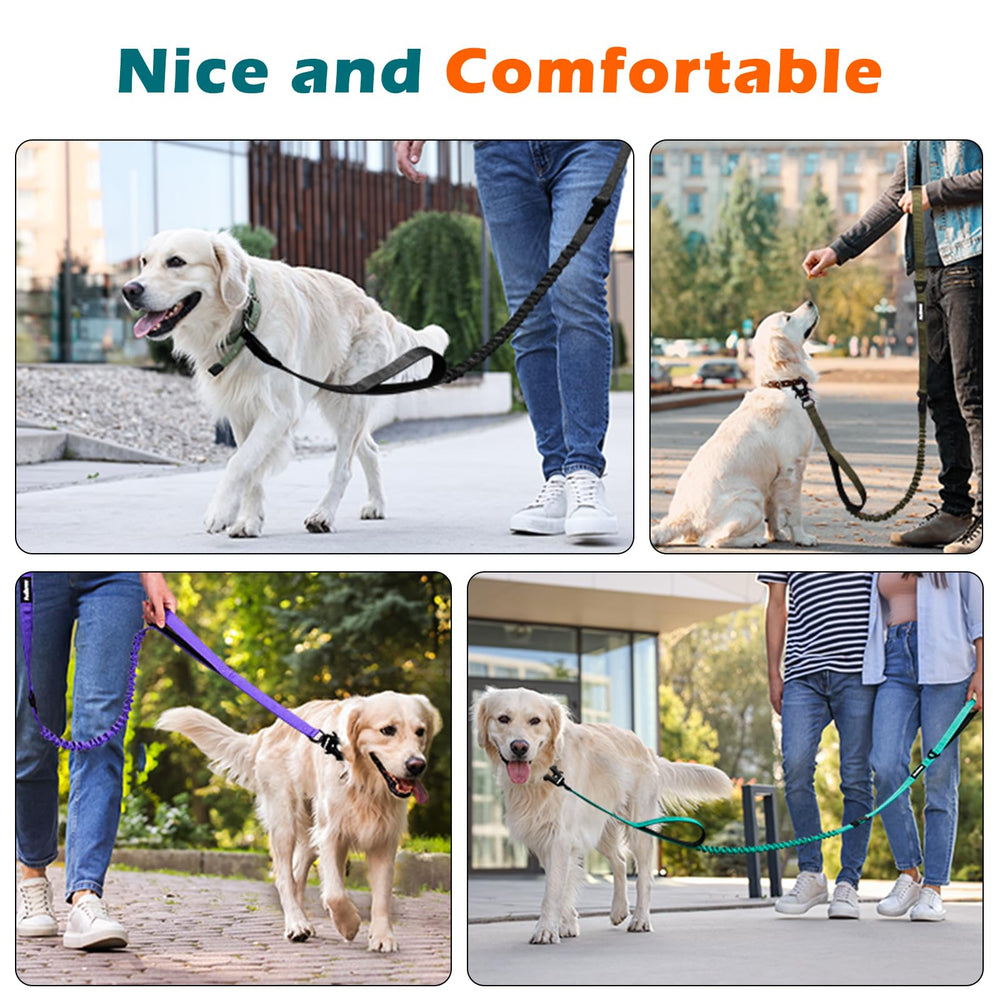 PetBonus Laisse contrôle-dans-la-foule pour passer facilement en environnement urbain.