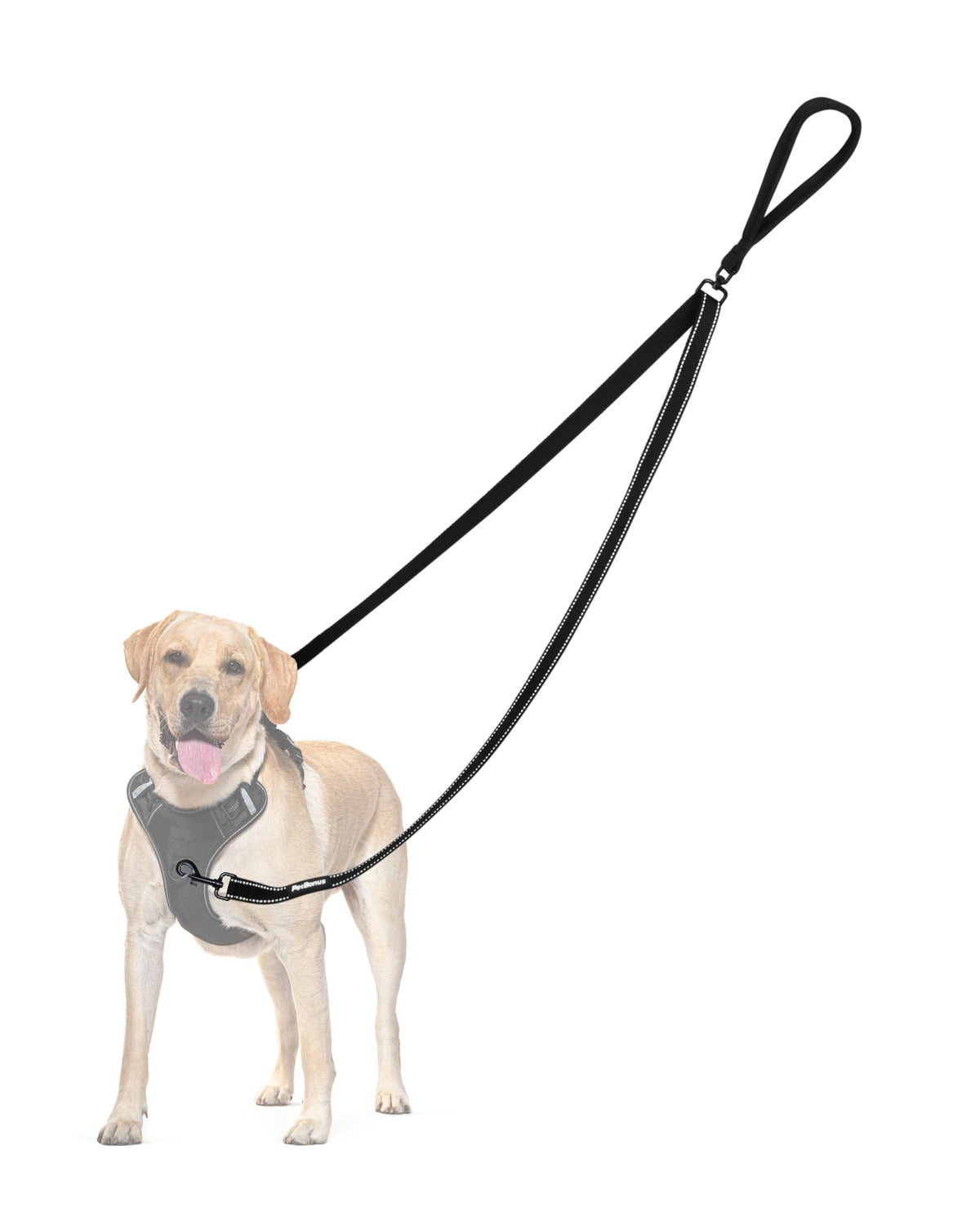Laisse PetBonus avec double point de contrôle pour chien, améliore le contrôle en marche.