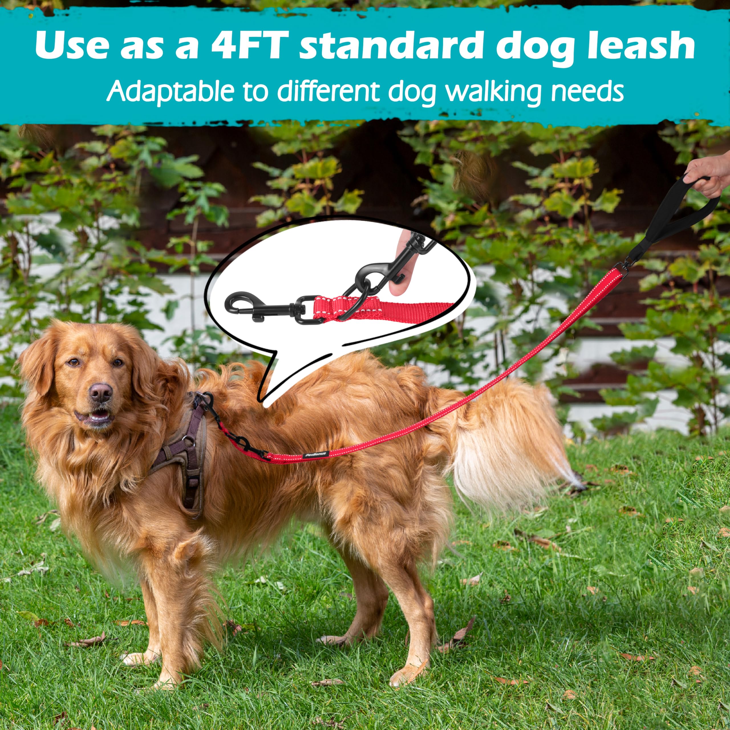 PetBonus laisse pour chien moyen grand rouge convient aux promenades quotidiennes.