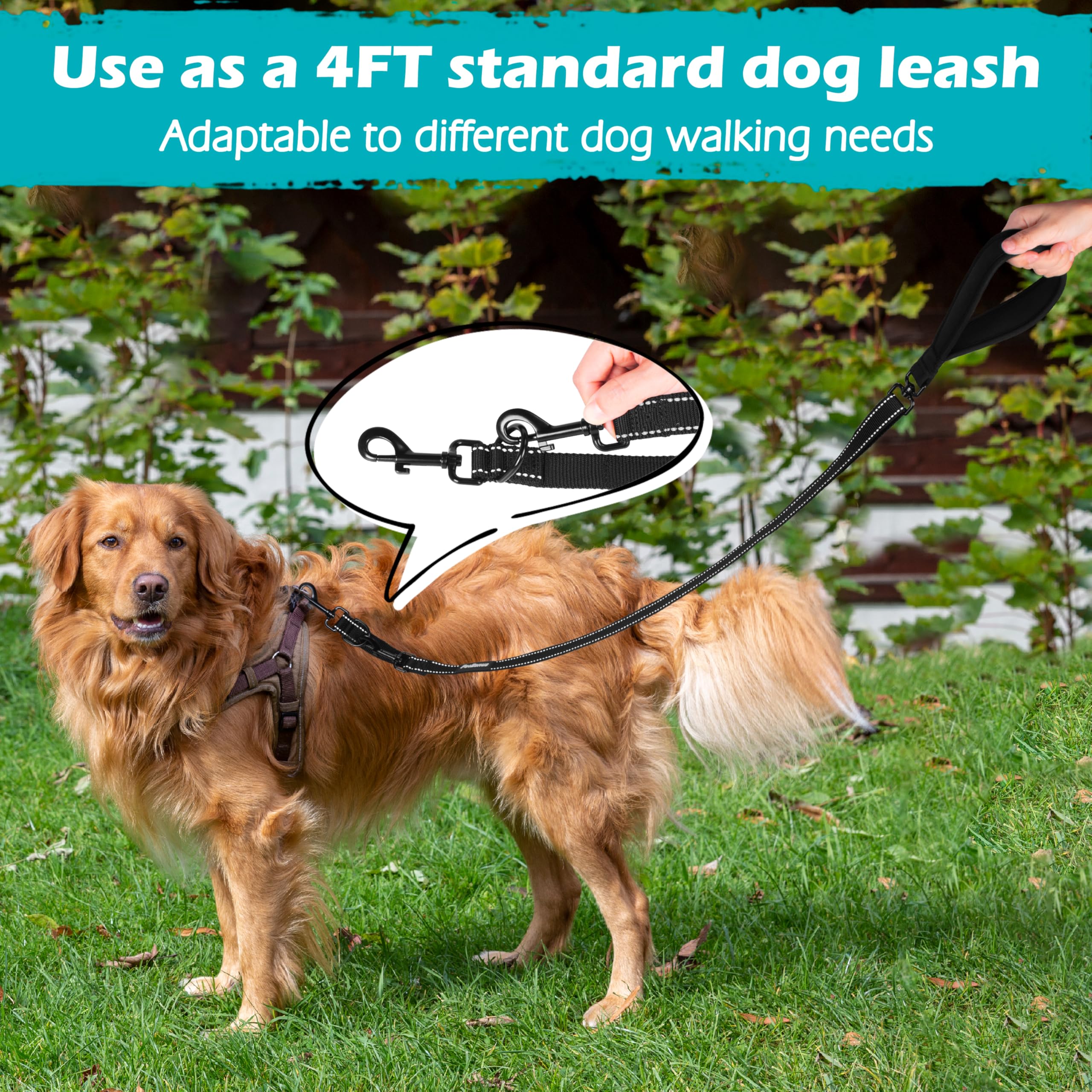 Utilisation quotidienne PetBonus pour chien moyen à grand, contrôle polyvalent.