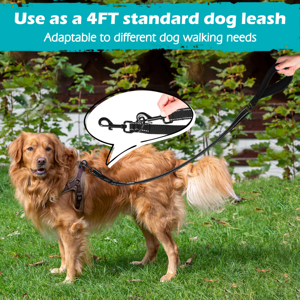 Utilisation quotidienne PetBonus pour chien moyen à grand, contrôle polyvalent.