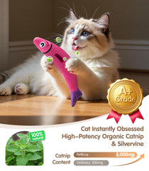 Jouet PetBusy poisson coloré, favorise le jeu et l'exploration