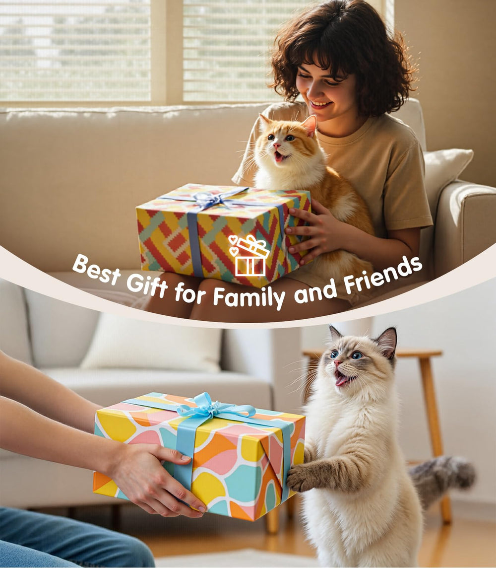 Cadeau PetBusy parfait pour les amoureux des chats d'intérieur
