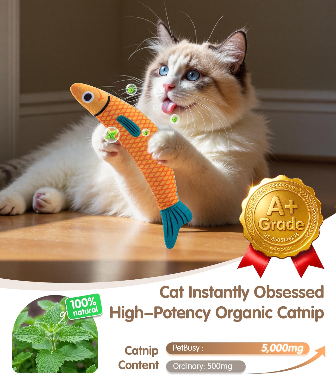 PetBusy poisson-doux-rembourrage-bebe, douceur sécurisante pour les jeux des chatons.