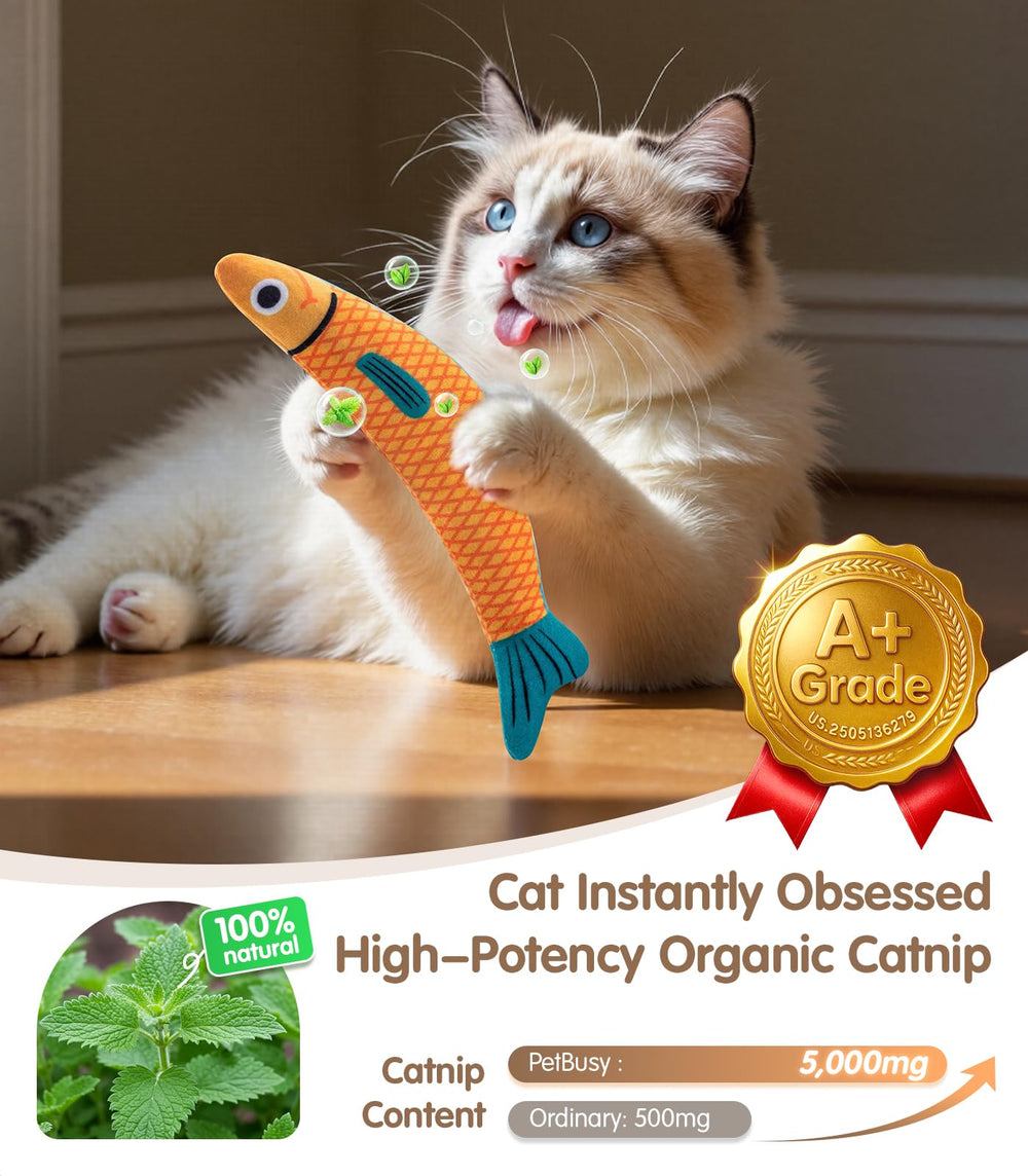 PetBusy poisson-doux-rembourrage-bebe, douceur sécurisante pour les jeux des chatons.