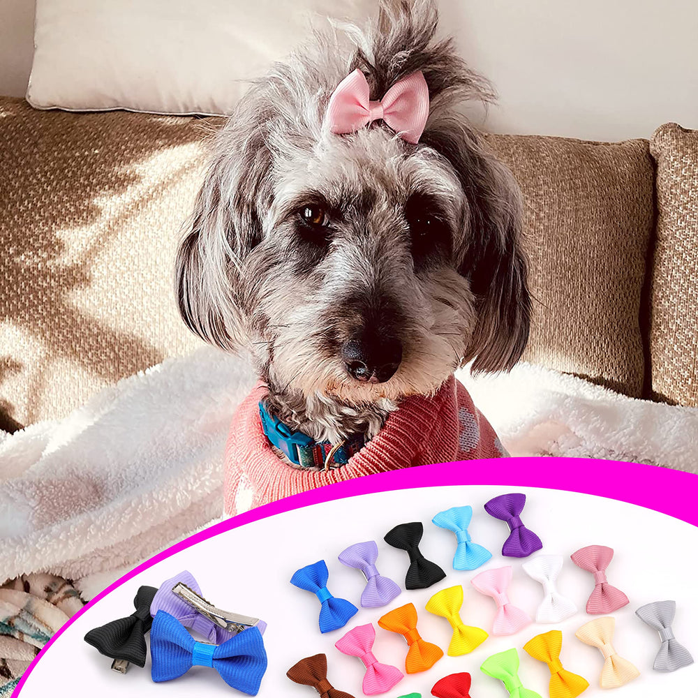 Petbuy accessoire coiffure chien, pratique pour toilettage et fêtes.
