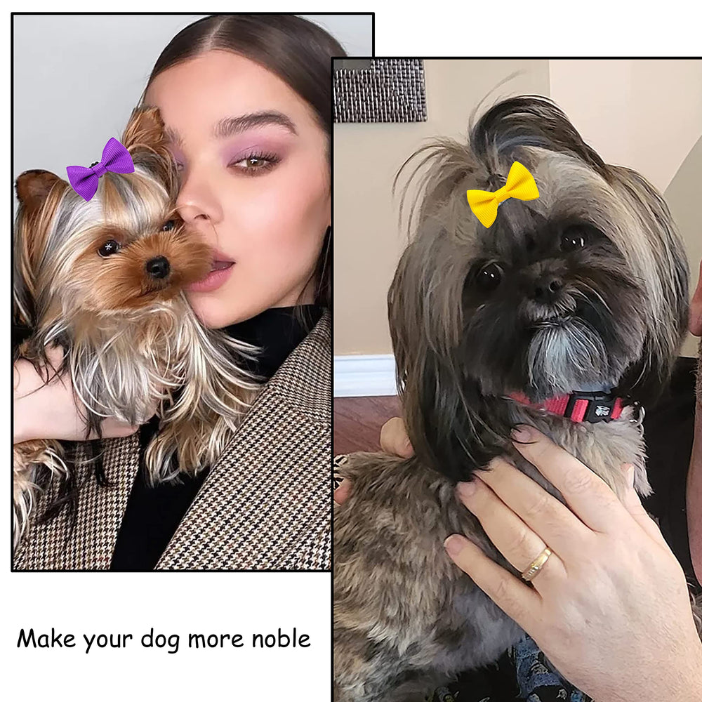 Petbuy bande elastique, maintient solidement les nœuds sur chien.