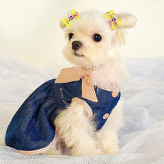 Broches-cheveux Petbuy avec nœud, modèle léger pour chats et chiens.