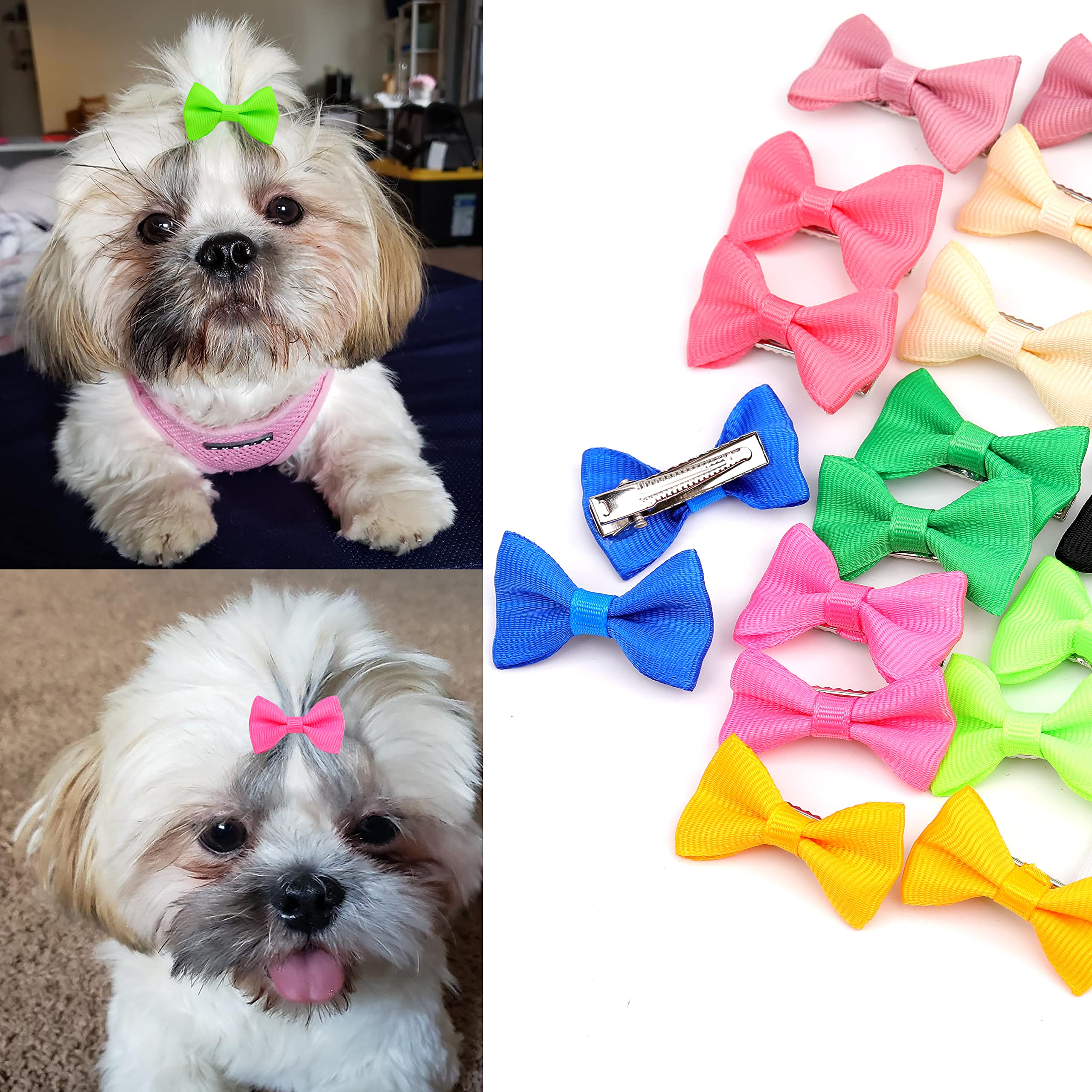 Petbuy nœud Noël chien bleu pâle, parfait pour les fêtes.