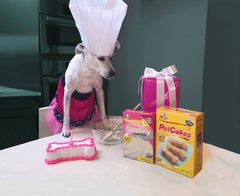 PetCakes pate carob: base naturelle pour gâteau chien.