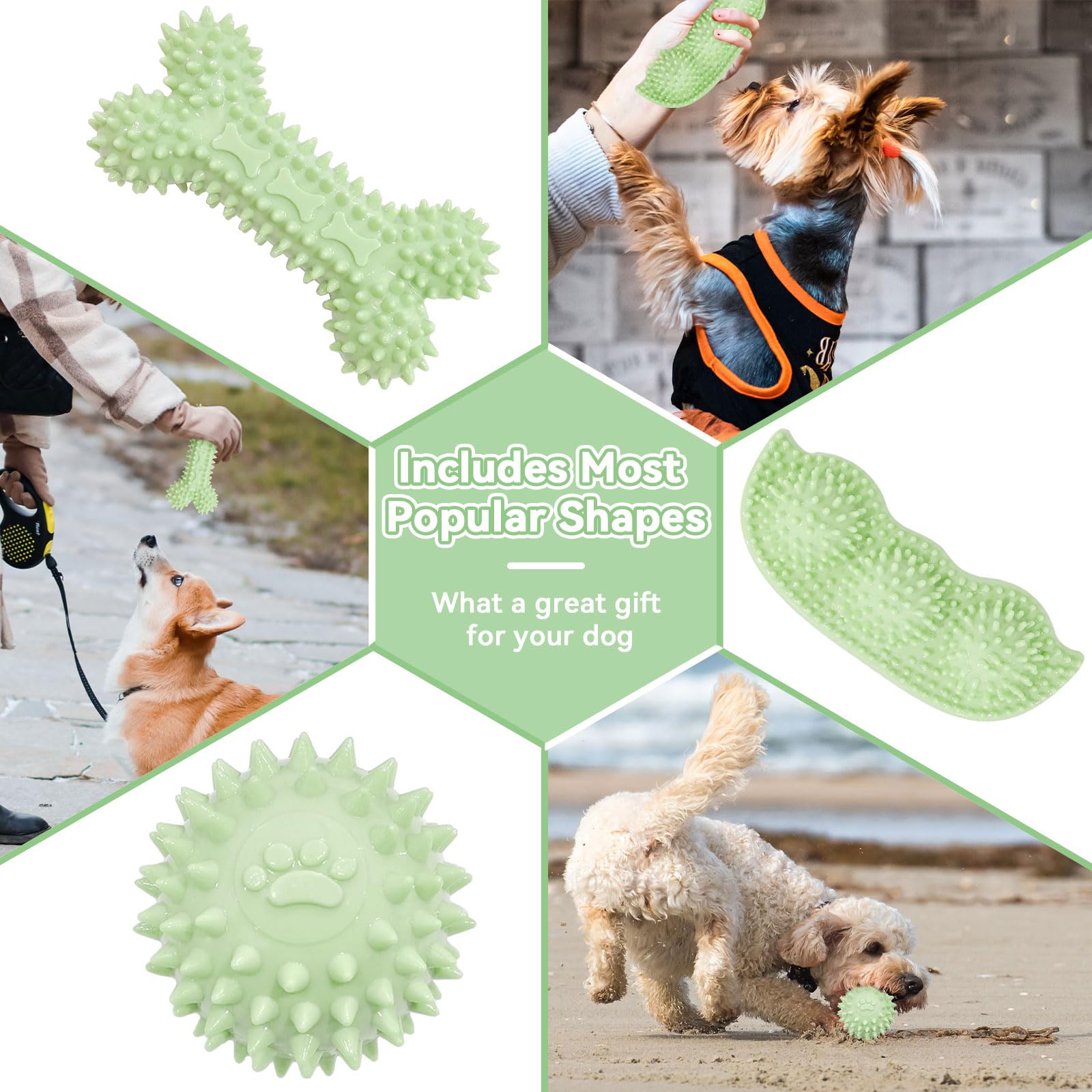 Petcare balle dentition petit chien vert, jeu interactif et nettoyage des dents