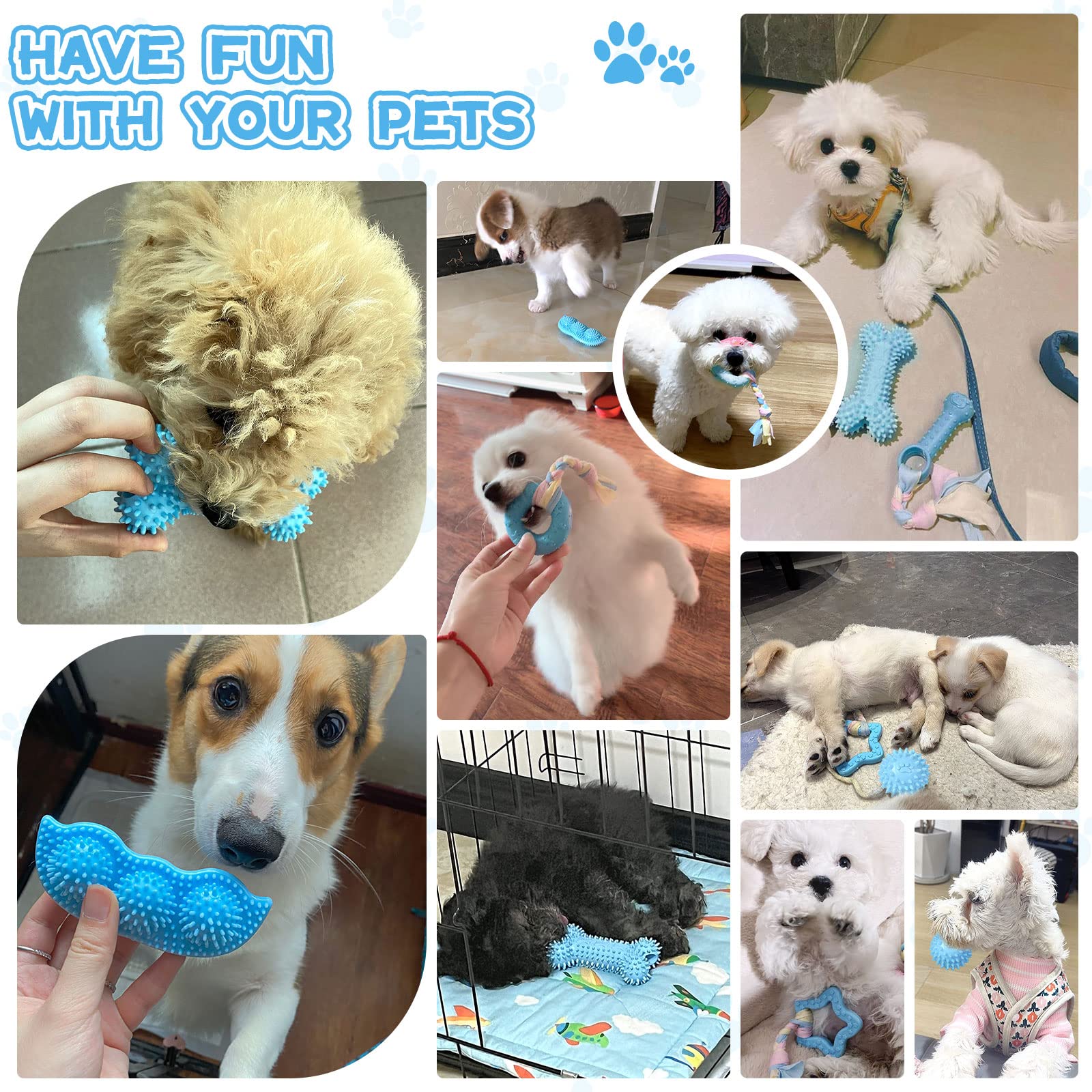 Petcare ensemble jeux chiots bleu lors des séances de jeu