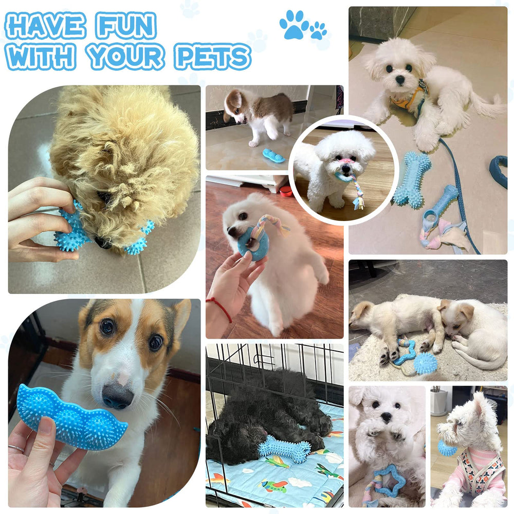 Petcare ensemble jeux chiots bleu lors des séances de jeu
