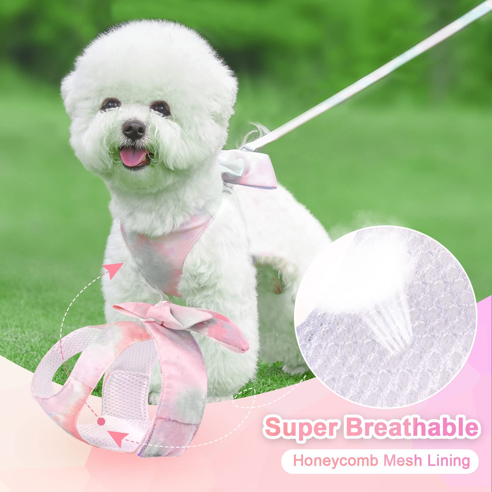 Harnais PETCARE arc-en-ciel rose, design lumineux qui attire les regards en extérieur.