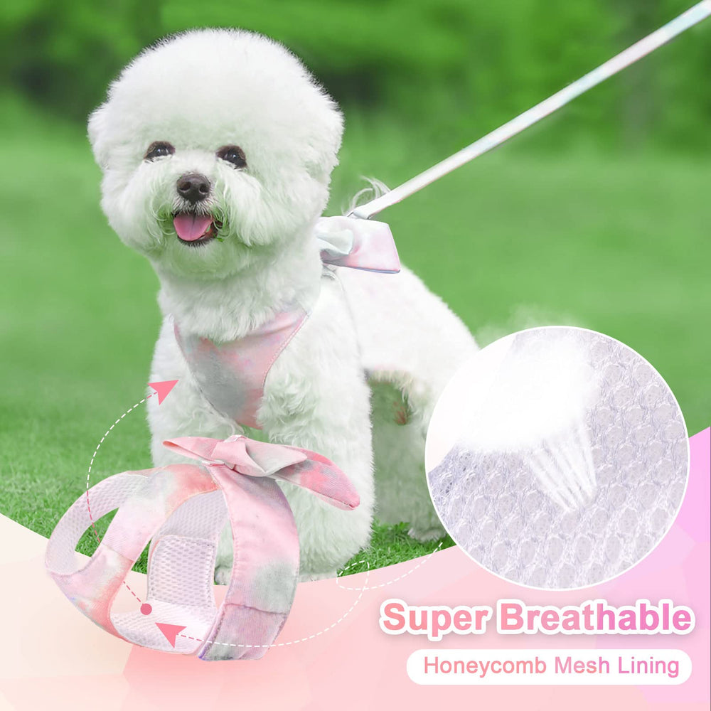 Harnais PETCARE arc-en-ciel rose, design lumineux qui attire les regards en extérieur.