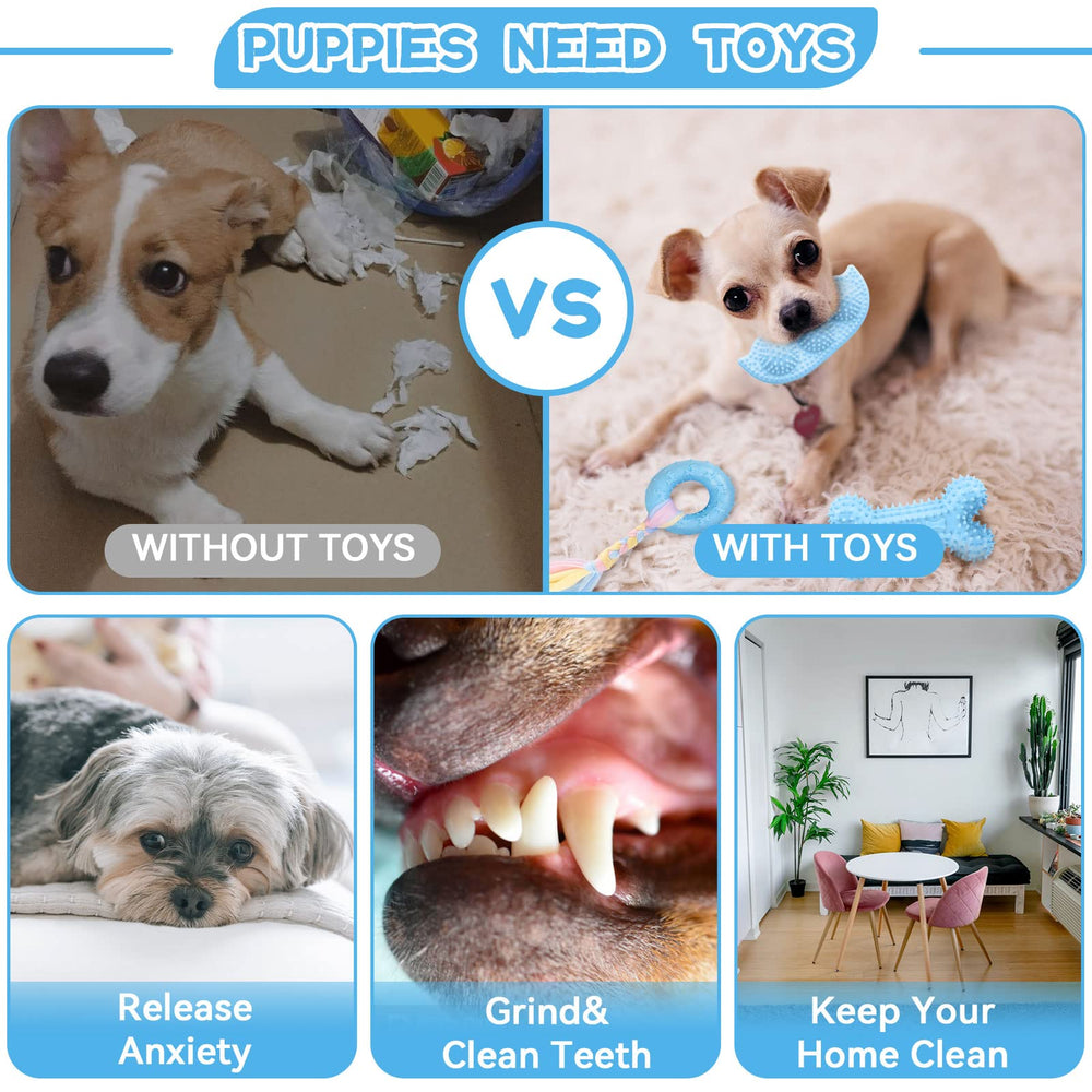 Petcare jouet cylindre bleu renforçant l’intérêt et l’activité