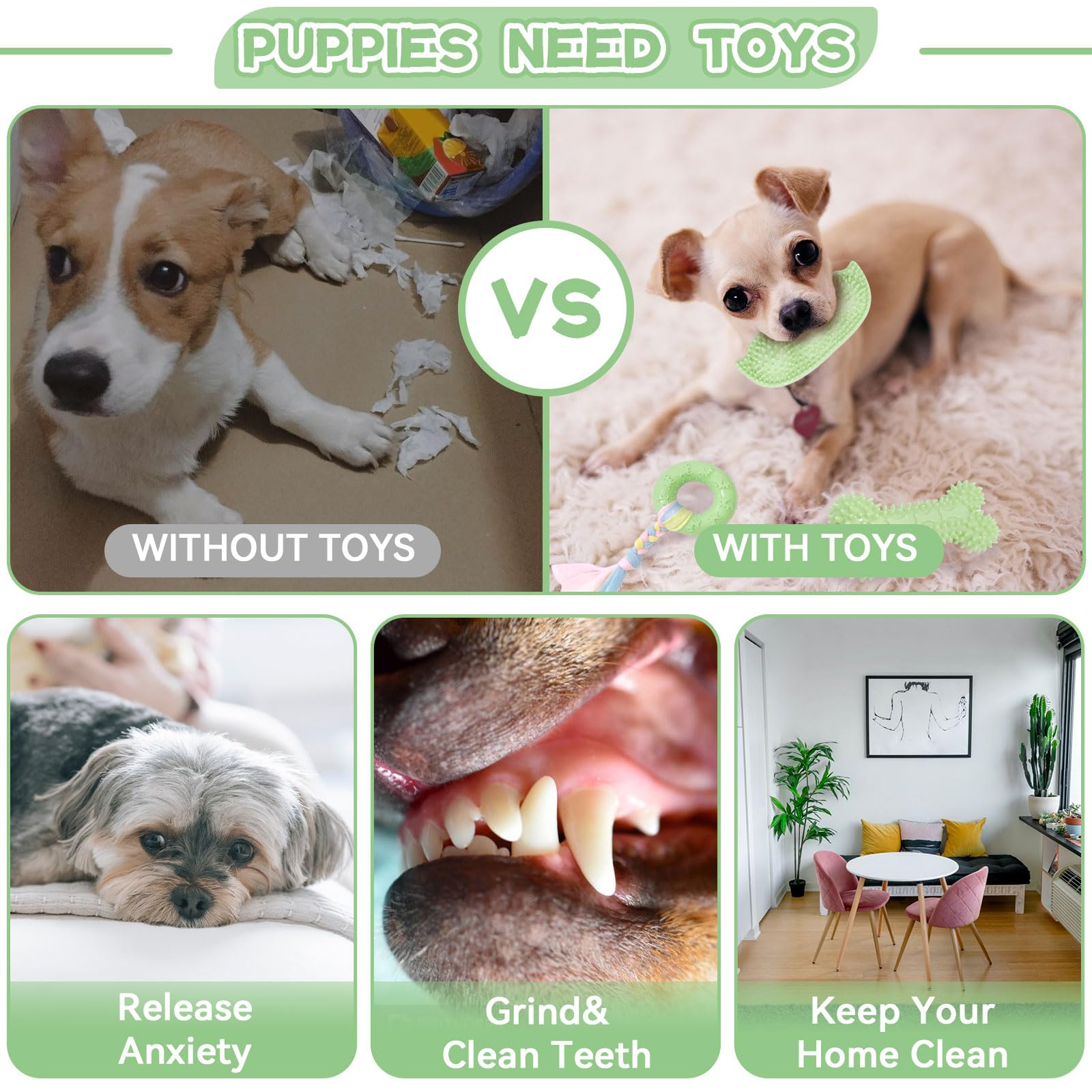 Petcare cylindre jouet dentition petit chien vert, texture variée et longue distraction