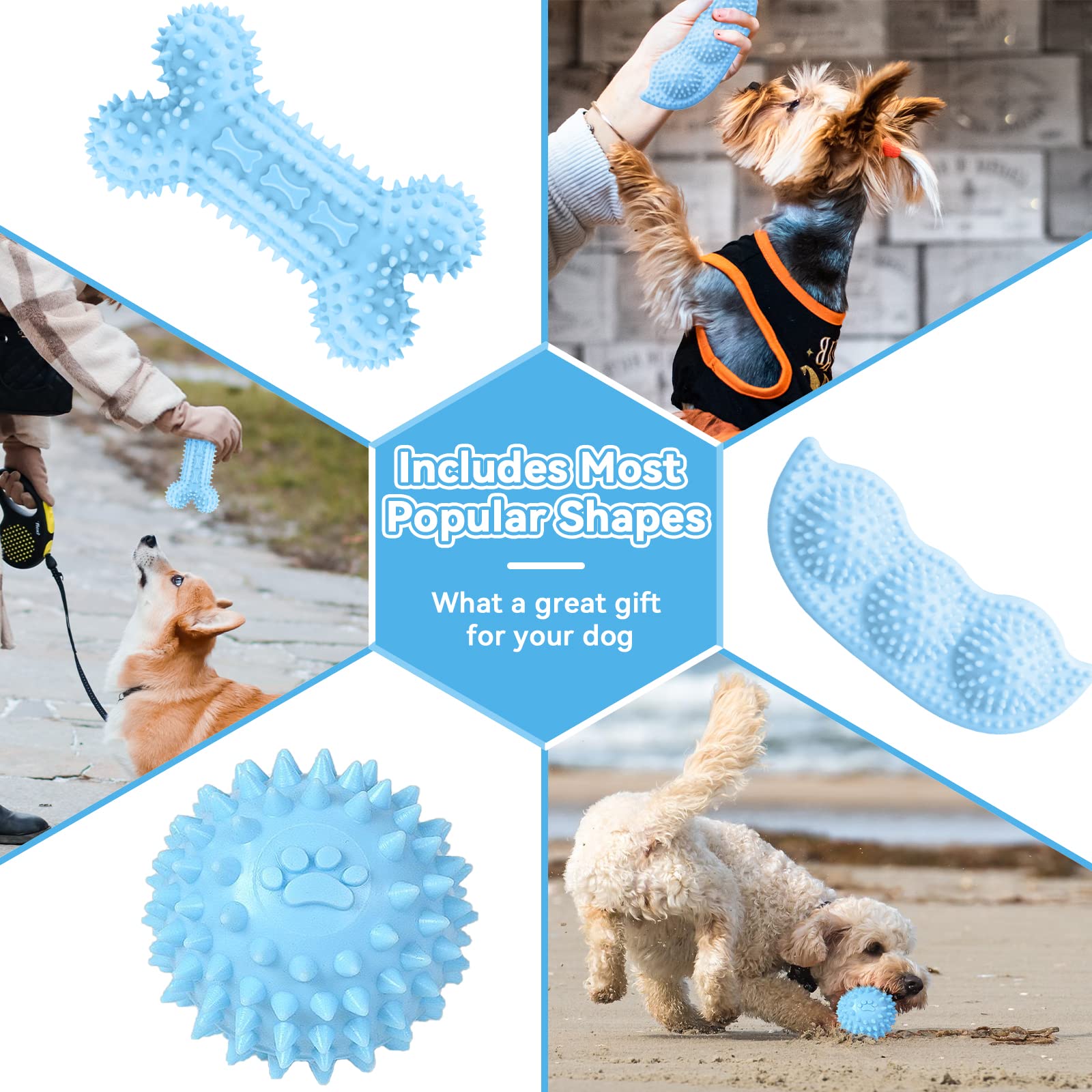 Petcare jouet os-balle bleu stimulant la dentition et le jeu