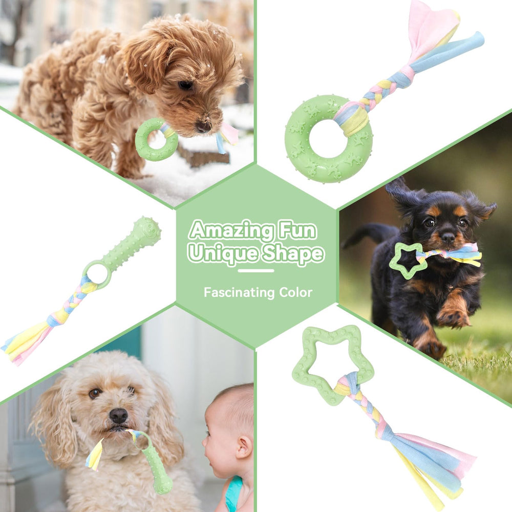 Petcare pentagram jouet dentition petit chien vert, capte l’attention et diversifie le jeu