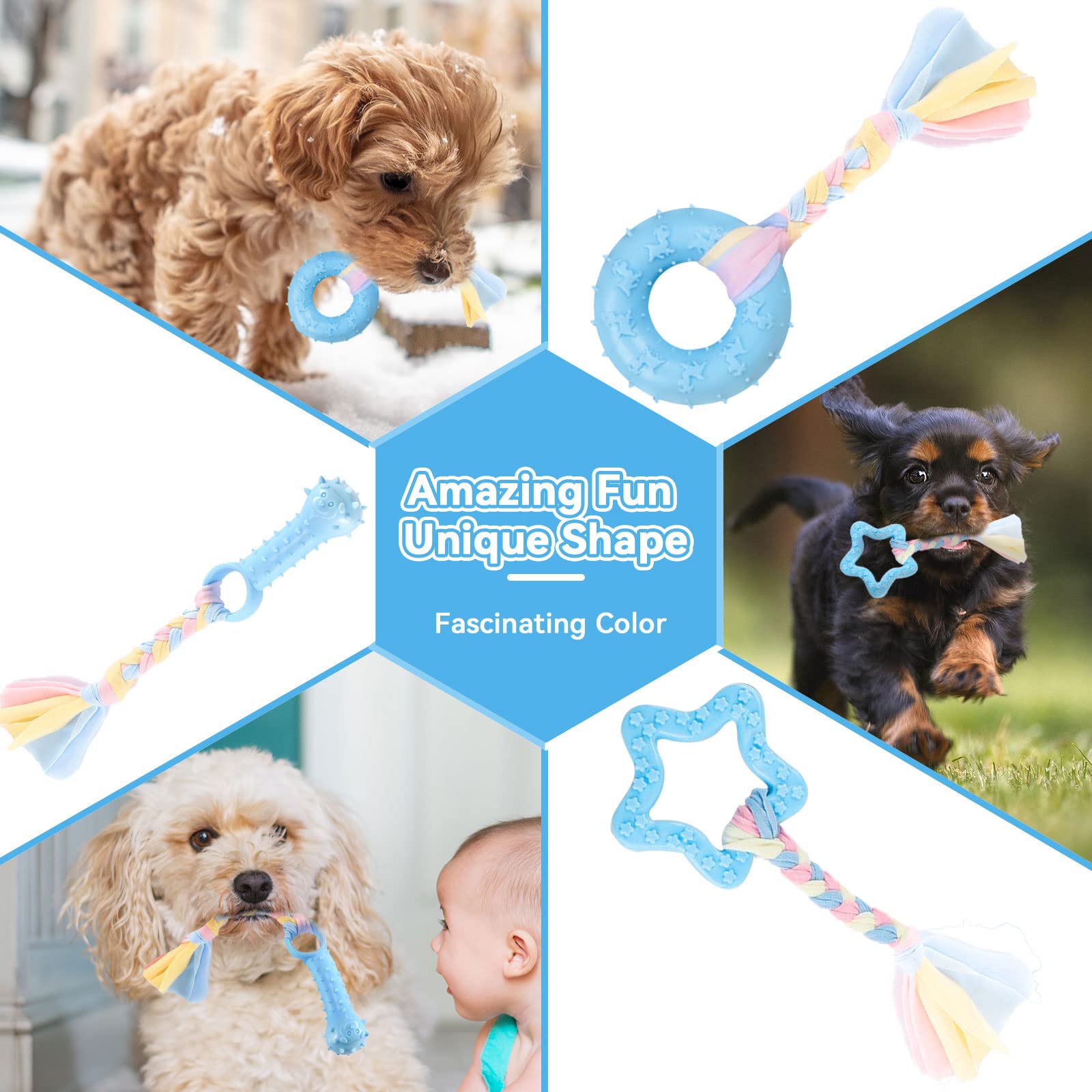 Petcare jouet pentagramme bleu stimulant la mastication