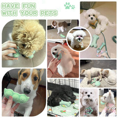Petcare os-jouet dentition pour petit chien vert, apaise les gencives et occupe