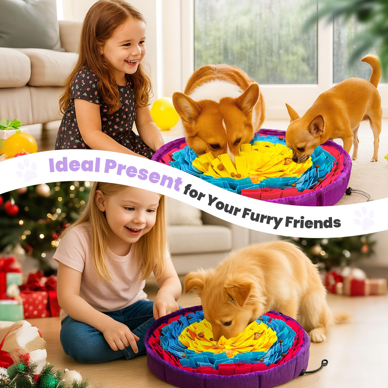 PETCARE nettoyage facile à la main, entretien rapide