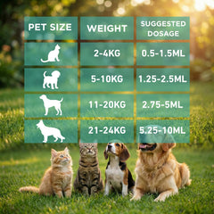 Petcci chaton et chien utilisant facilement le produit, application sans stress.
